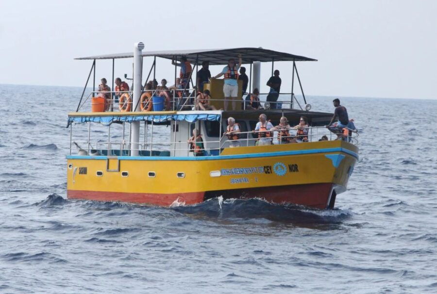 All Inclusive Mirissa Whale and Dolphin Watching Boat Ride - Good To Know