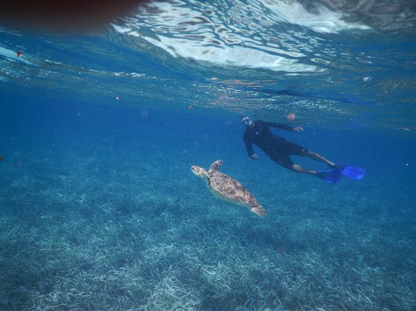 5 Best Snorkeling Experiences In The Cayes
