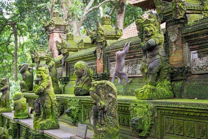 All of Ubud and Gates to Heaven (2 Day Tour) - Good To Know