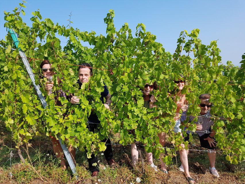 Alsace: Private Wine Tour - Good To Know