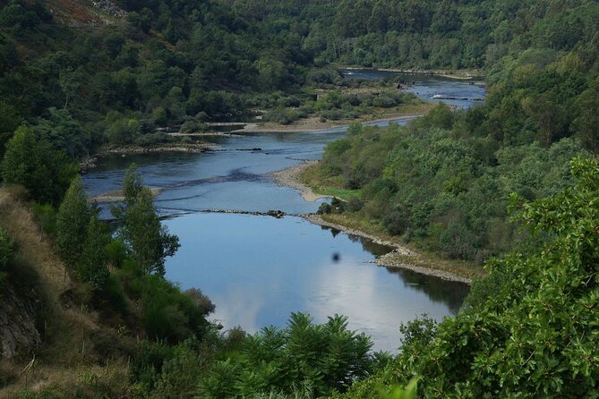 Alvarinho Wine Route and Melgaço - Good To Know