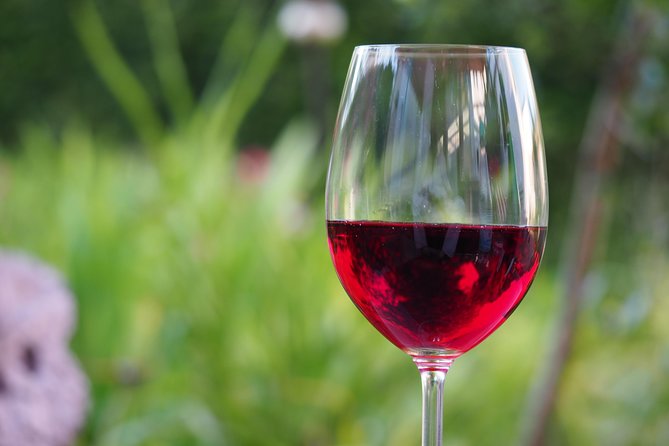 Amador County Wine Tasting Tours Max 14 Pax Private Wine Tours - Good To Know