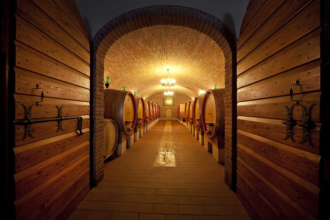 Amarone Wine Tasting From Verona