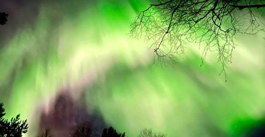 Amazing Aurora With BBQ in the Best Spot in Rovaniemi!