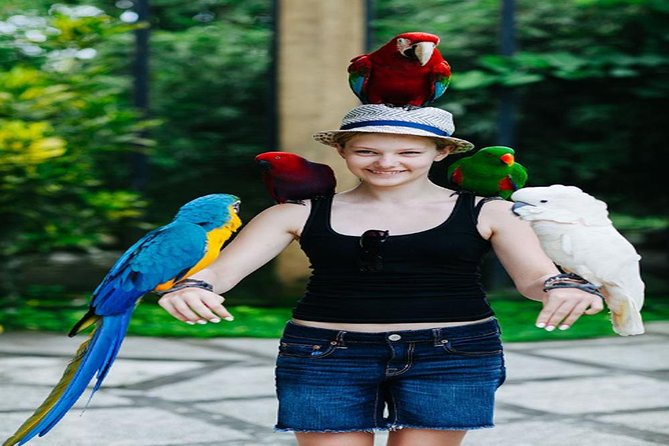 Amazing Best Private Tour Bali Bird Park And Ubud Tour