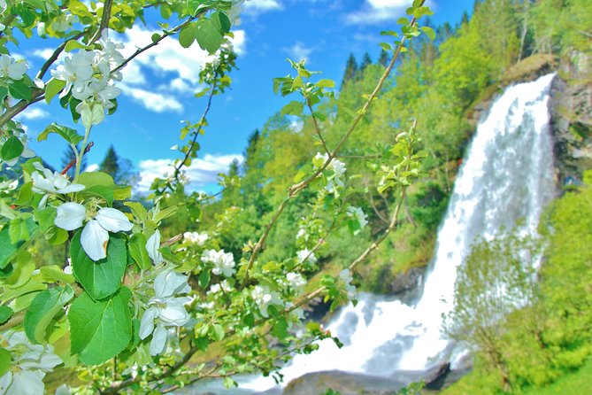 AMAZING HARDANGER: Private Round Trip With Fjord Cruise – From Bergen, 11 Hours