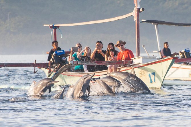 Amazing Private Tours: Dolphins Lovina and Gitgit Waterfall Include Lunch - Good To Know