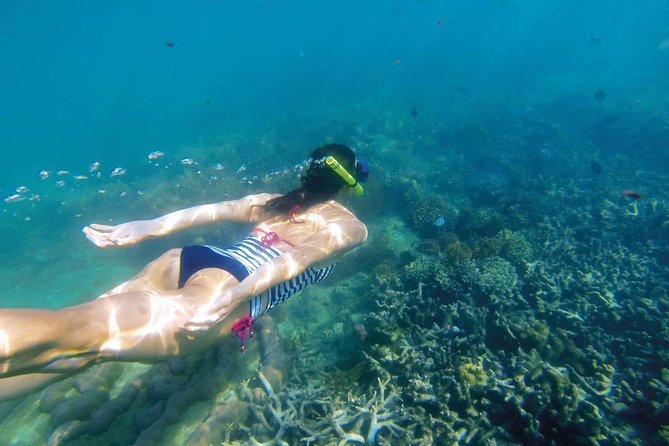 Amazing Snorkeling in Bali - Good To Know