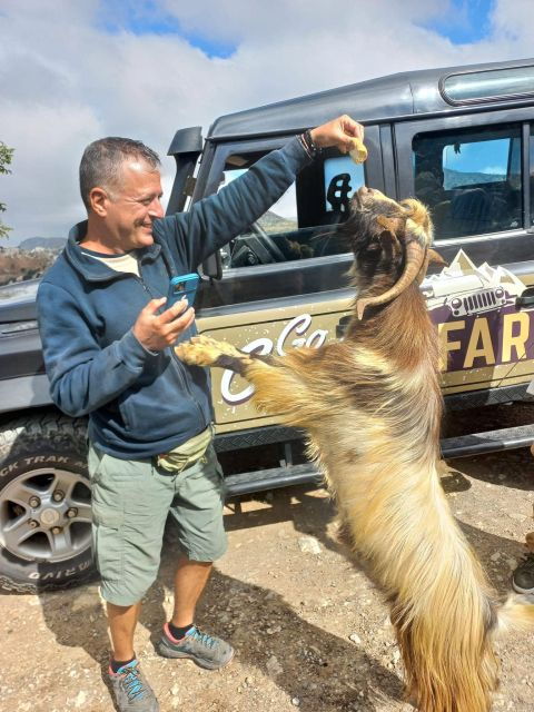 Amazing Sunset Safari Route With Dinner - Tour Duration and Guide Availability