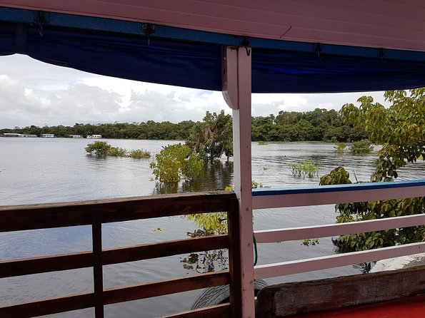 10 Best Boat Tours And Cruises In Manaus