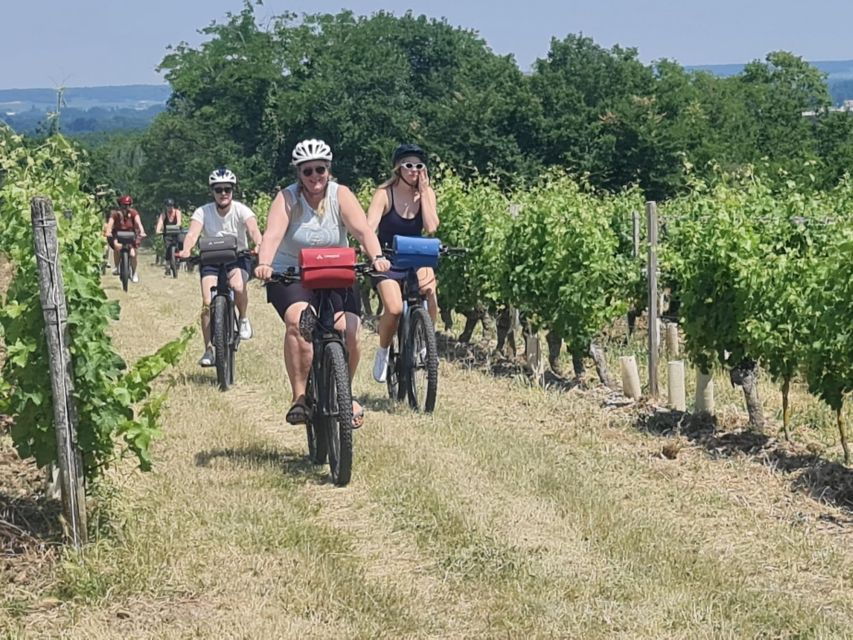 Amboise: Highlights Private E-Bike Tour W/ Clos Lucé Ticket