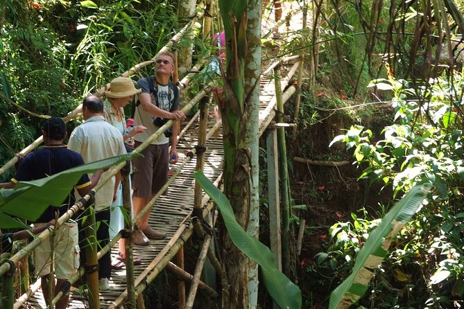 An Eco-Walk Through Green Bali - Good To Know