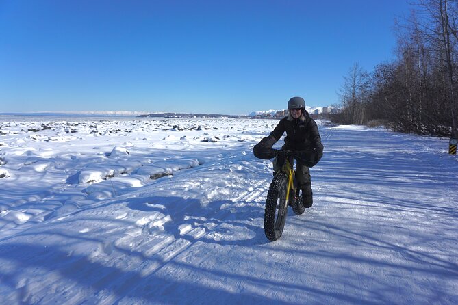 Best 1 Hour Tours and Experiences in Anchorage