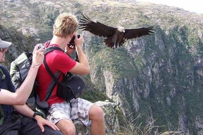 Andean Adventure: Trek, Wildlife, Barbecue Lunch Experience