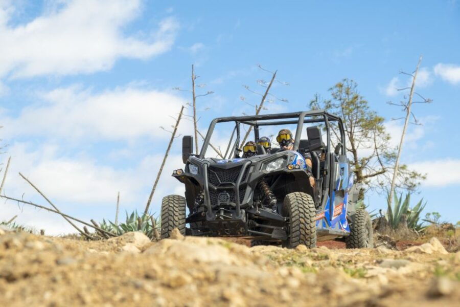 Anfi Beach: Guided Buggy Tour.