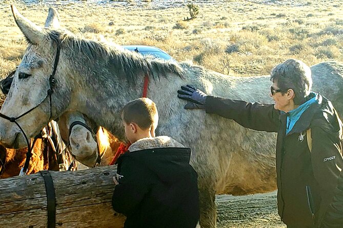 Animal Petting and Sunset Hike in Las Vegas - Good To Know