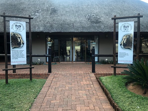 Ann Van Dyk Cheetah Centre Tour From Johannesburg or Pretoria