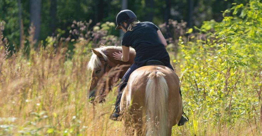 Annecy: Horseback Ride