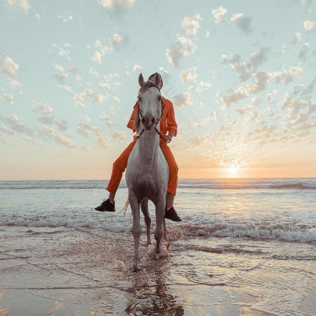 Antalya: Forest & Beach Horse Riding Safari - Good To Know