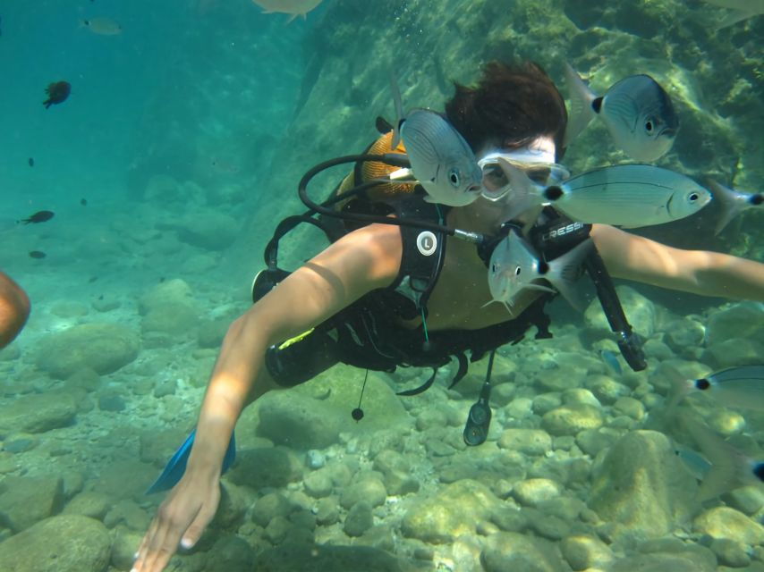 Antalya/Kemer: Scuba Diving Experience With Lunch & Pick up - Good To Know