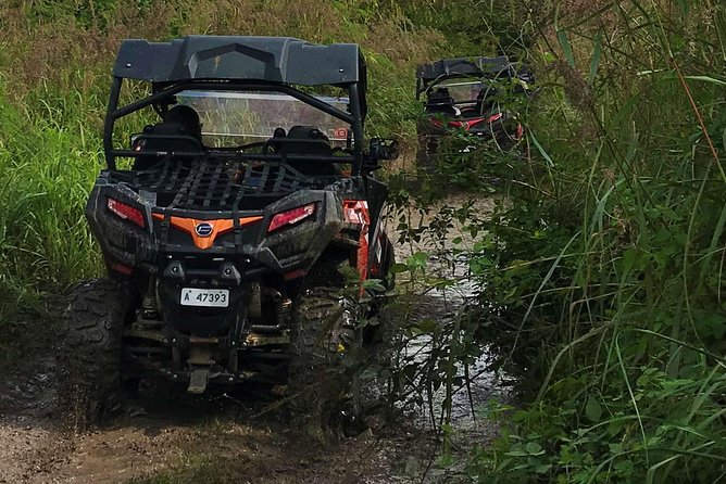 Antigua Buggy Explorer Tour From St. Johns