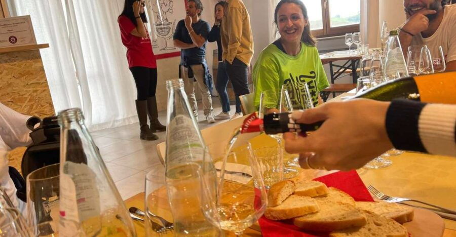 Aperitif in the Vineyard
