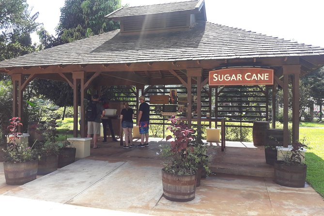 Appleton Estate Rum and Pelican Bar Private Tour From Montego Bay