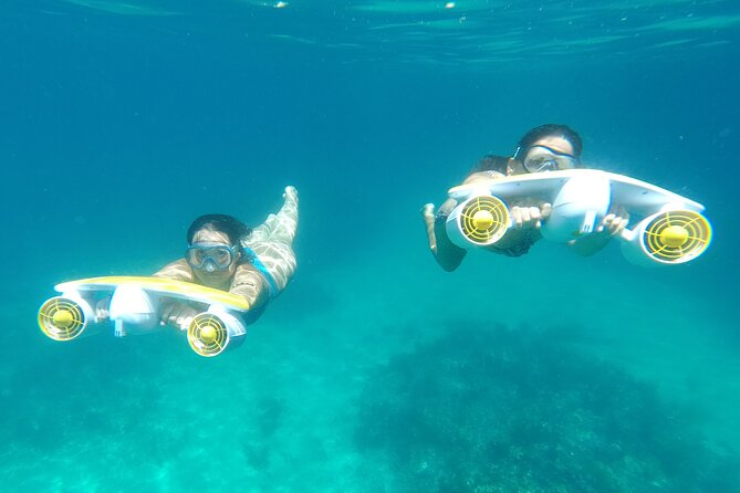 Aquatic Boat Adventure on the Arrábida Coast  - Setubal District - Good To Know