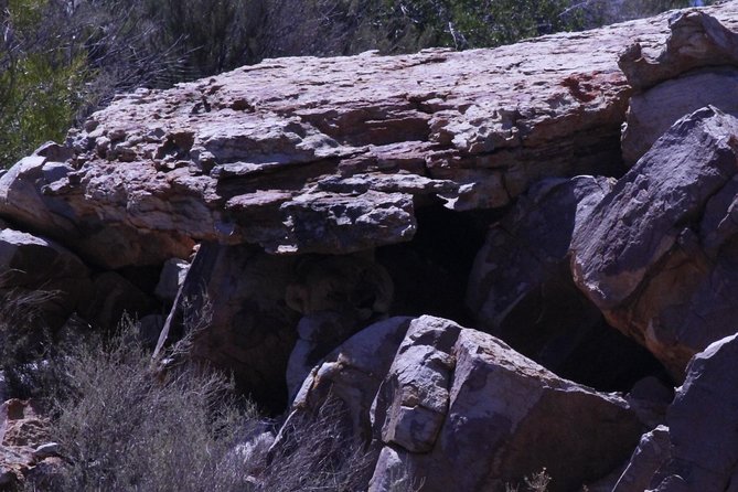 Aquila Game Reserve Private Tour From Cape Town - Good To Know