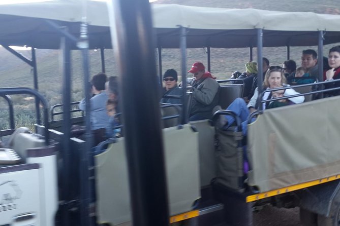 Aquila Wildlife Safari Tour - Tour Highlights