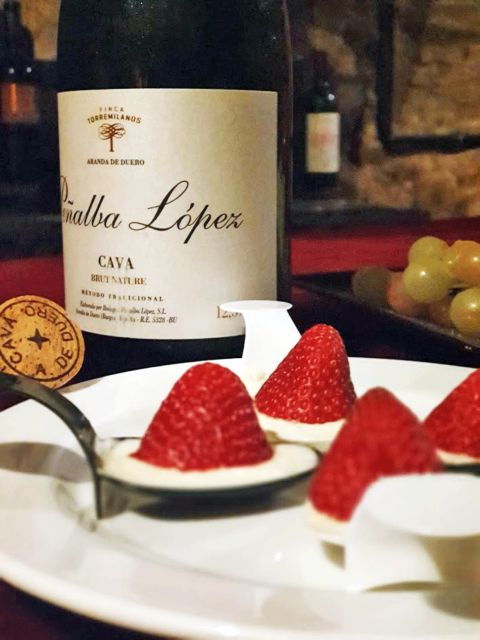 Aranda De Duero: Wine Pairing Tasting Course & Mini Tapas - Good To Know