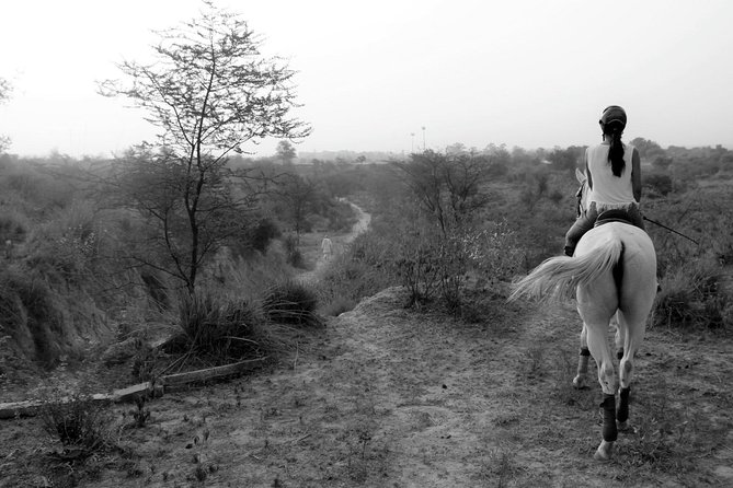 Aravali Trail Experience( Jungle Safari Forest Area)- Horseback Riding