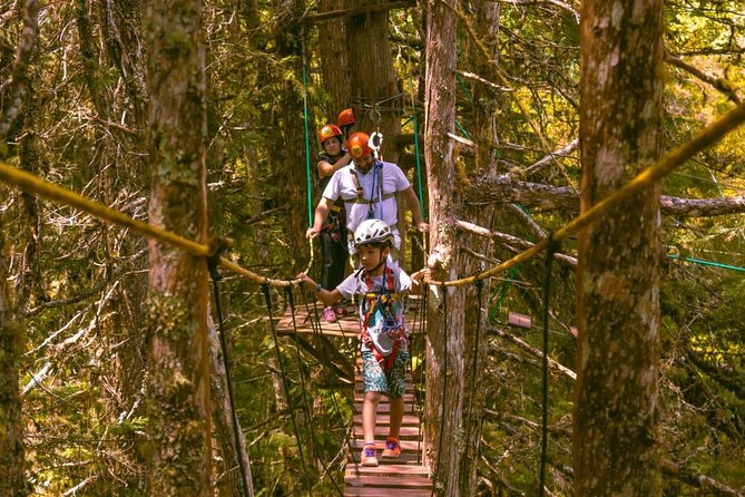 Arborism in Horto Florestal – Campos Do Jordão