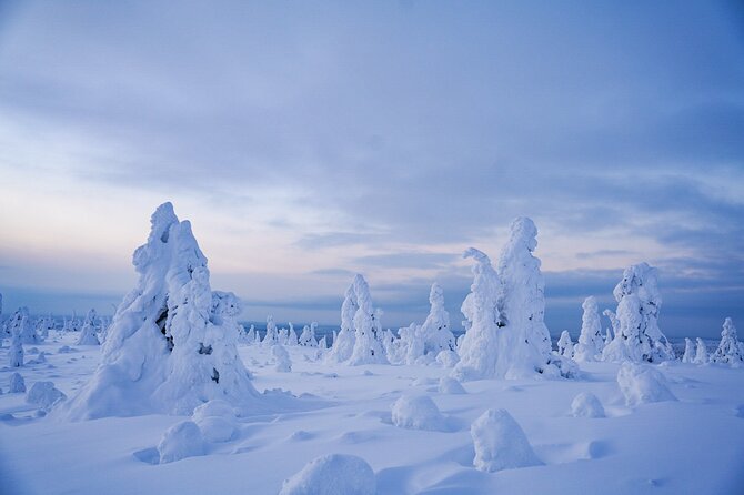 Arctic Adventure Through Magical Frozen Forests of Riisitunturi - Good To Know
