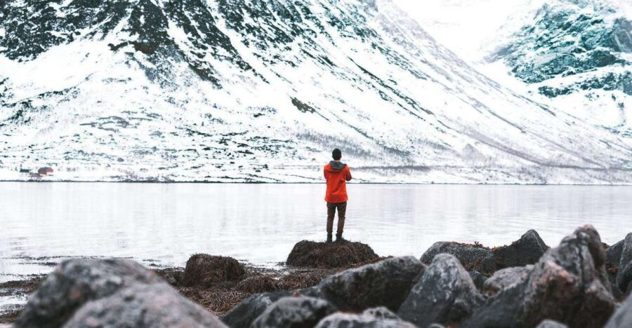 Arctic Fjord Sightseeing by Mini Bus