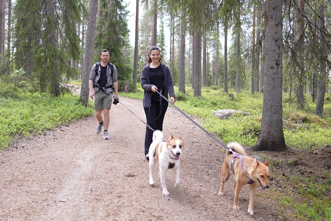 Arctic Hiking With Lappish Dogs - Good To Know