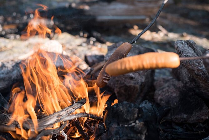 Arctic Midnight Sun Picnic From Rovaniemi - Good To Know