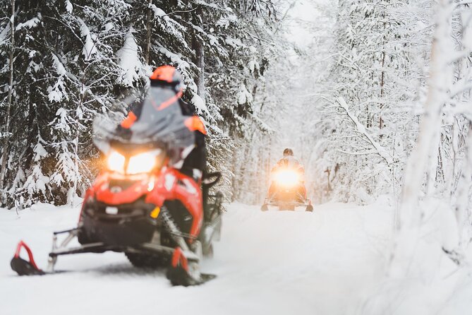 Arctic Snowmobile Tour to the Wilderness Lodge - Rovaniemi