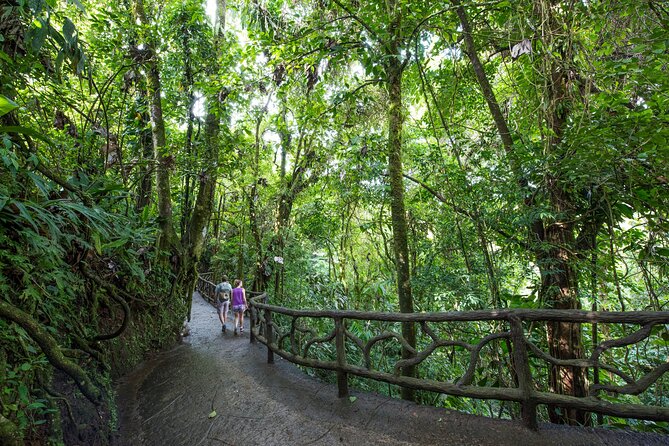 Arenal Hanging Bridges, Guided Walk, Hot Springs Optional - Good To Know