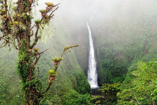 Arenal Volcano Full-Day Combo Tour With Lunch and Dinner - Good To Know