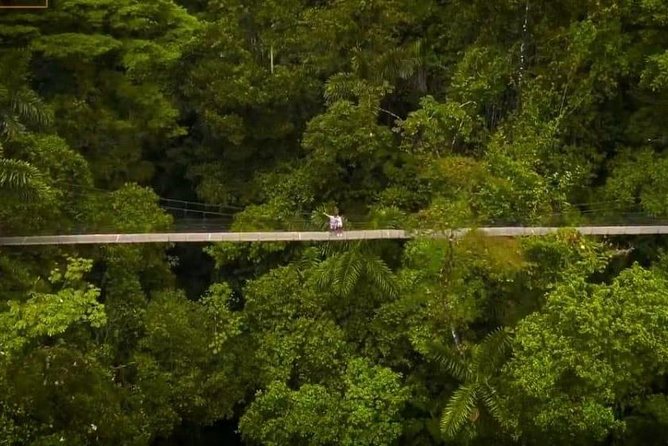 Arenal Volcano Rainforest Walk and Hot Springs - Good To Know