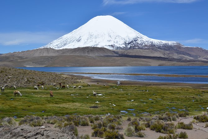 Arica and Parinacota in 2 Days 1 Night