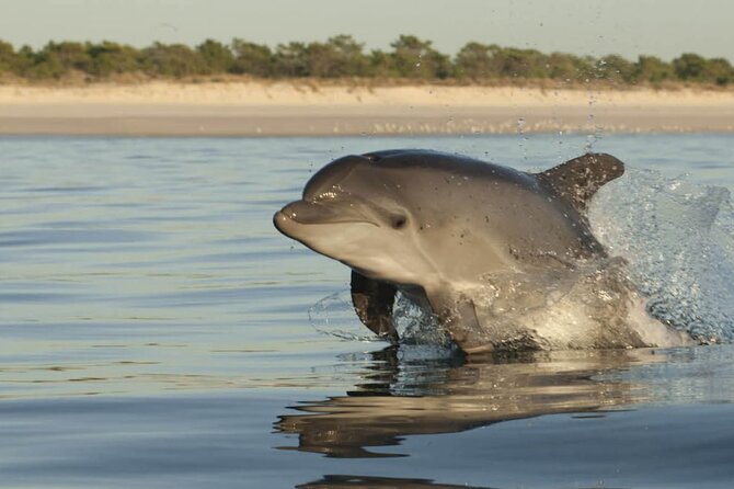 Arrábida Azeitão Palmela and Setúbal Private Tour - Good To Know