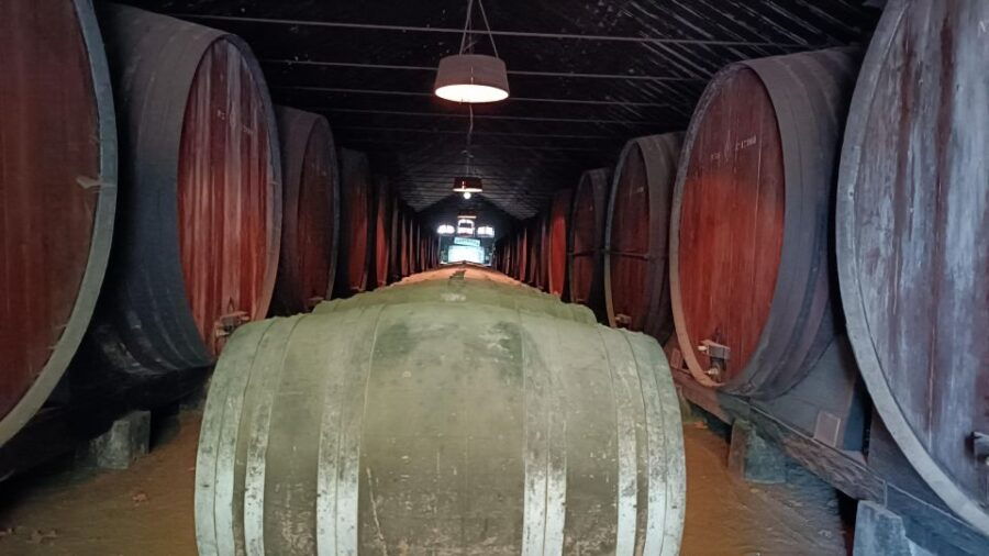 Arrábida Private Wine Tour on a Mercedes Convertible - Good To Know