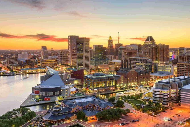 Arrival Private Transfer: Baltimore Airport BWI to Washington in Luxury SUV