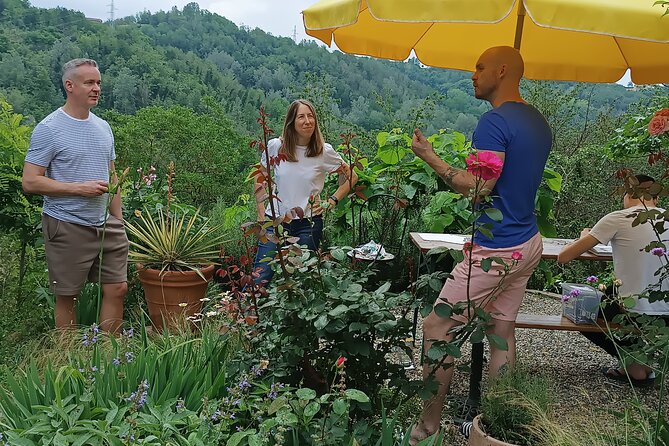 Art Classes in Monferrato Hills - Good To Know