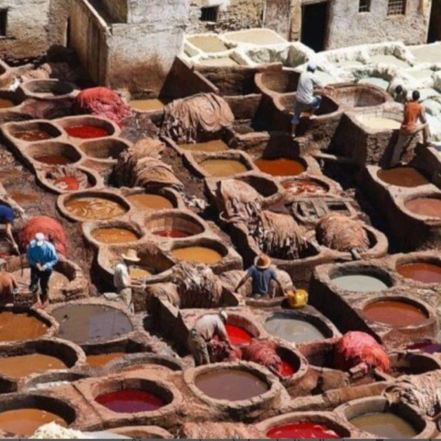 Artistic Tours and Workshops in the Heart of Traditional Fes