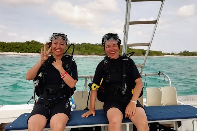 Aruba 1-Tank Guided Dive for Certified Divers With Rental Equipment