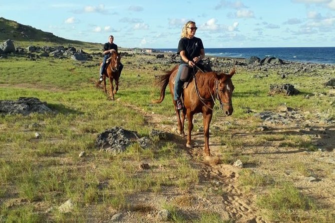 Aruba 2,5 Hrs Horseback Riding for Advanced Riders - Pricing and Booking Information