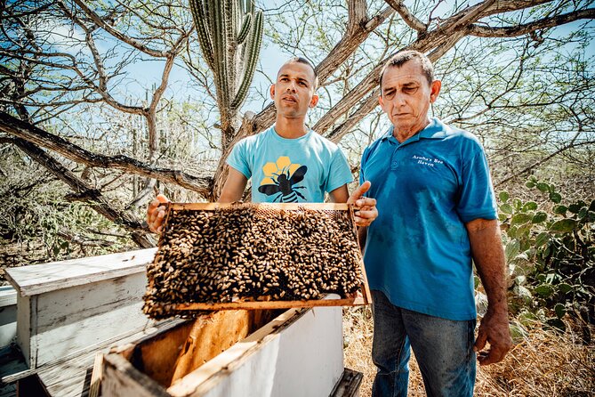 Arubas Bee Haven Private Adventure